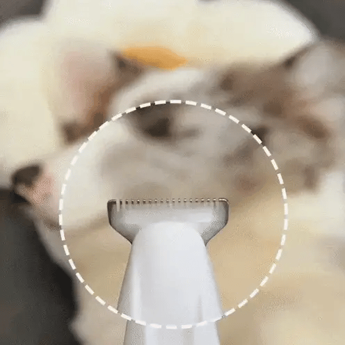 PawPerfect Pro™